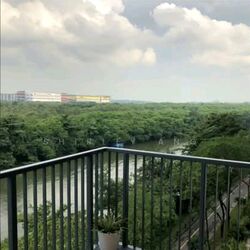 Kingsford Waterbay (D19), Apartment #585009201